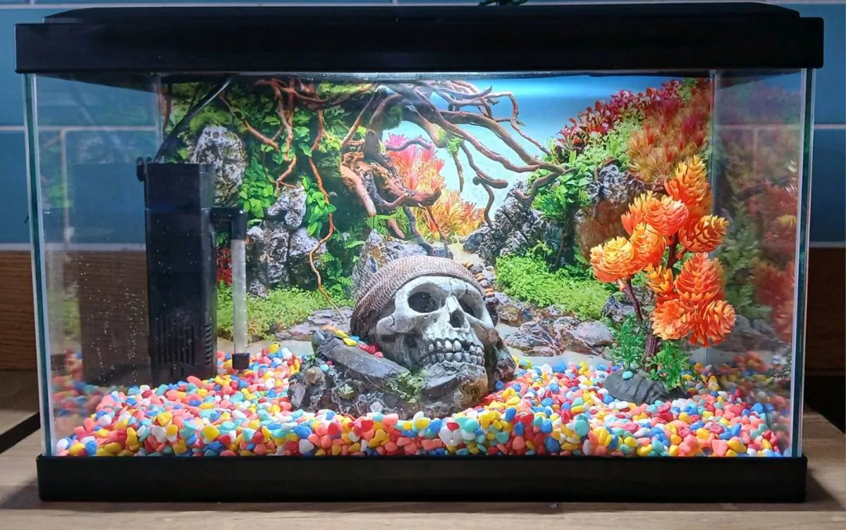 Aquarium 17-litre LED light Black - Image 2