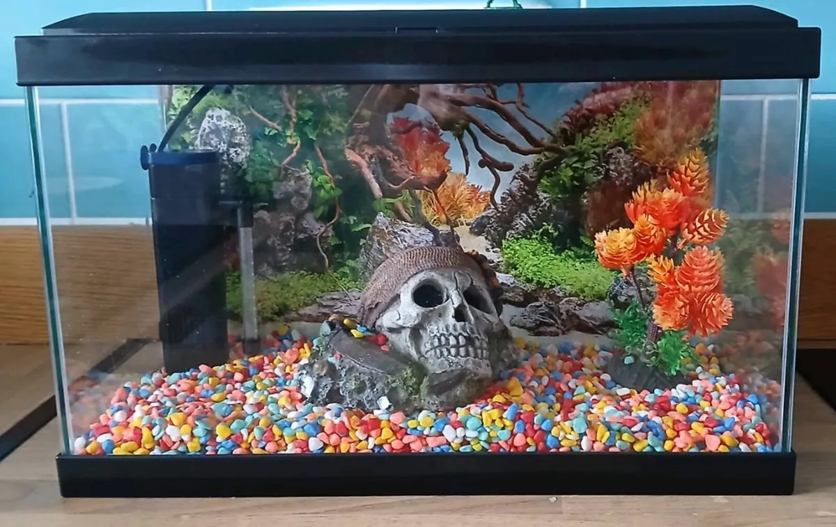 Aquarium 17-litre LED light Black - Image 4