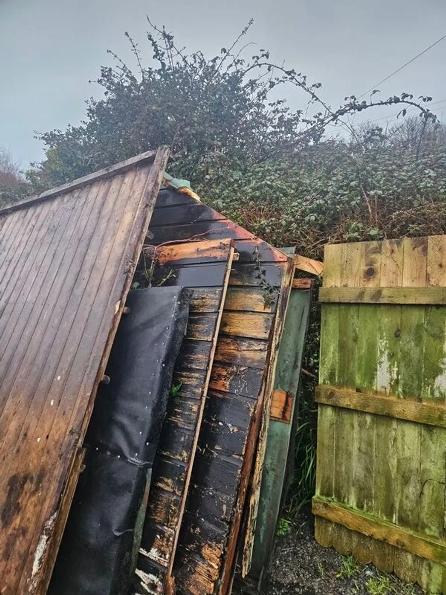 free timber - Image 2