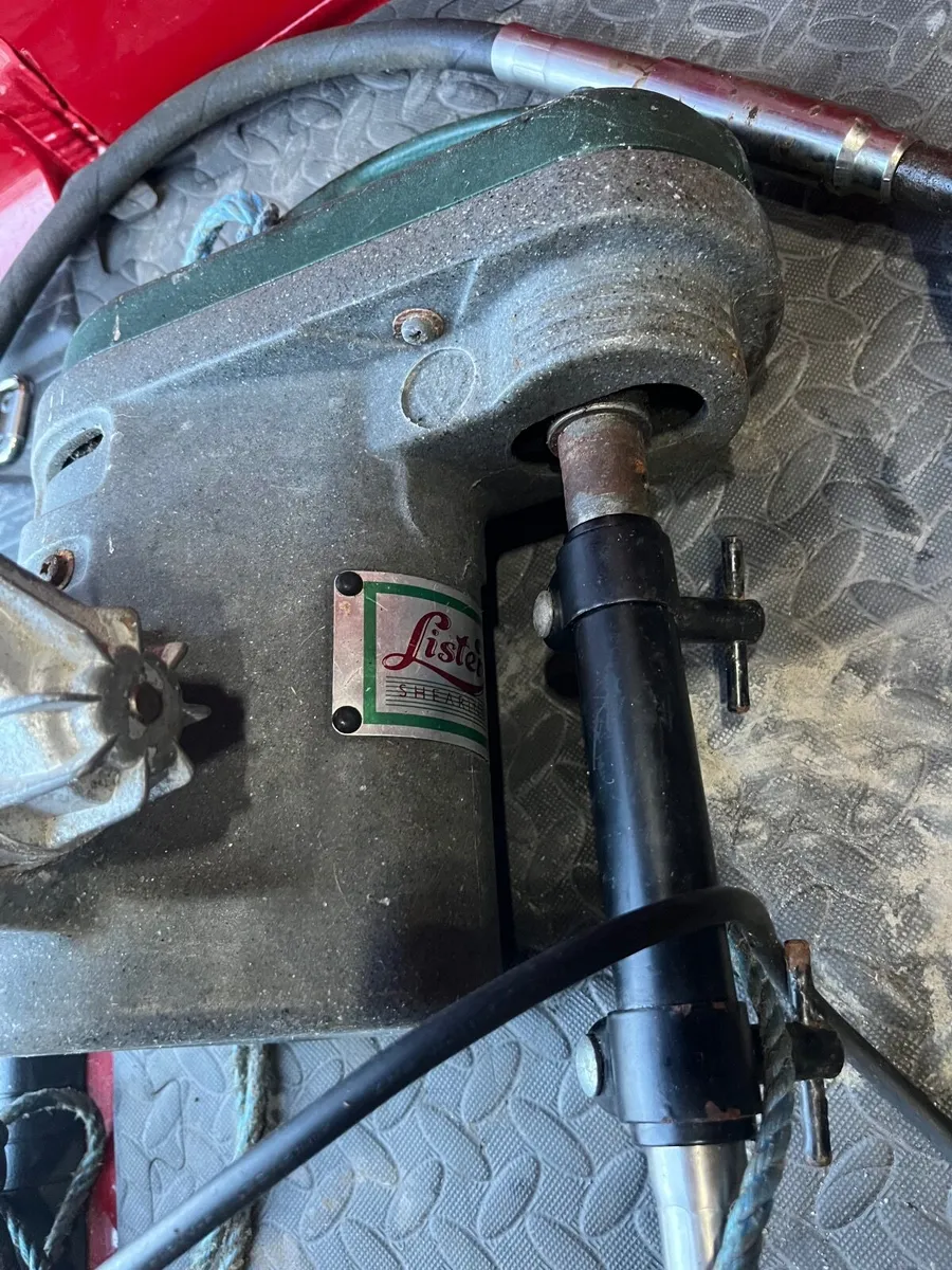 Lister Sheep Shears - Image 2