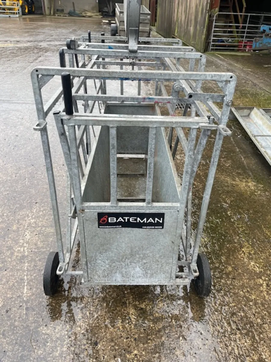 Bateman Mechanical Galvanised Sheep Weight Crate - Image 2