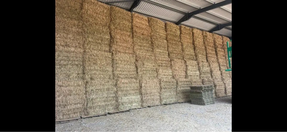 Top quality Hay for sale - Image 2