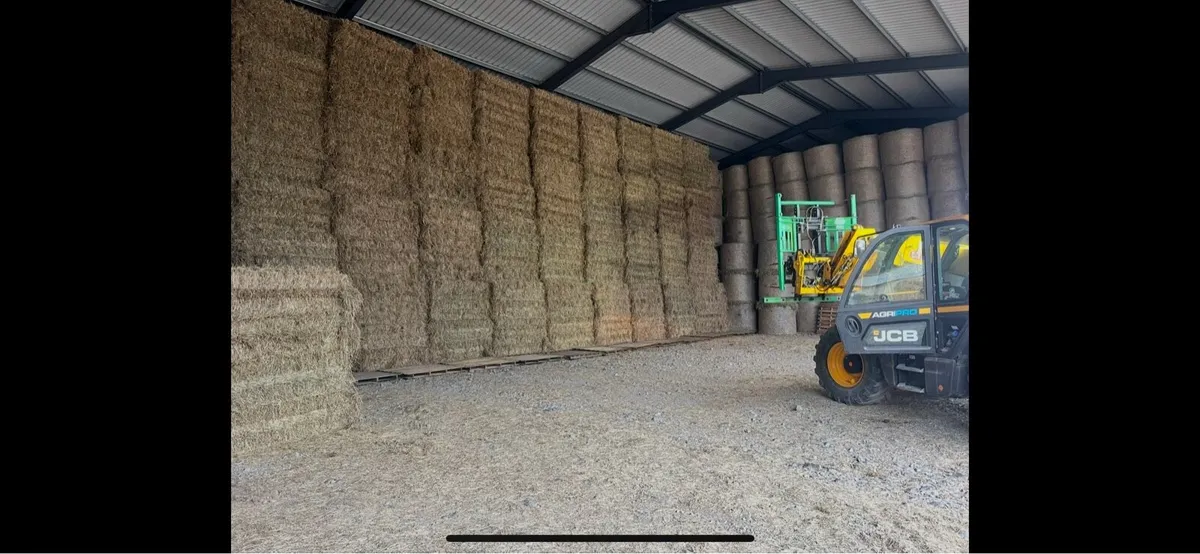 Top quality Hay for sale - Image 1