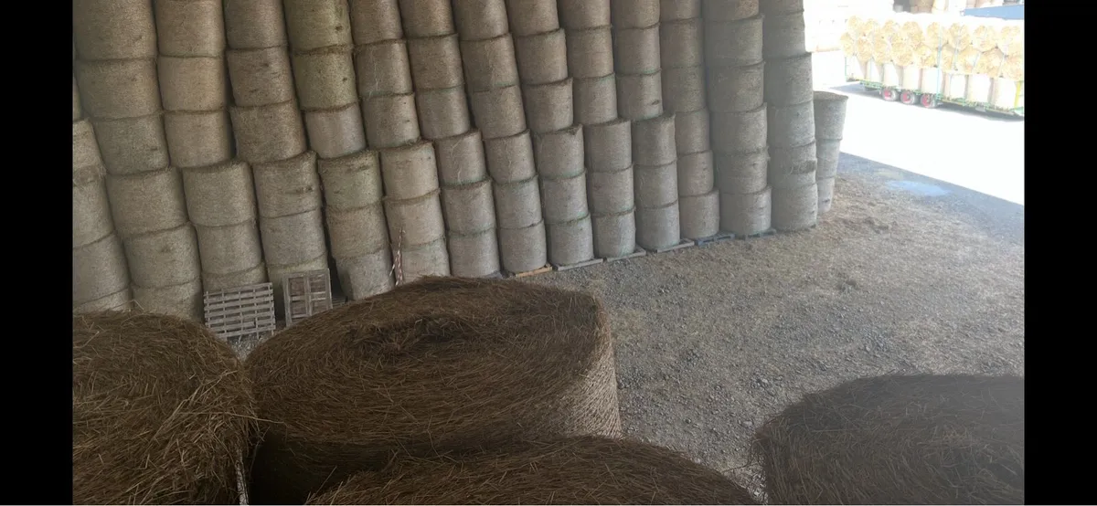 Top quality Hay for sale - Image 3