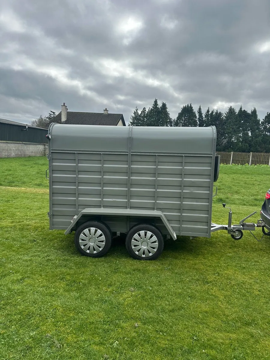 8x5 Refurbished Delaney cattle/sheep trailer. - Image 2