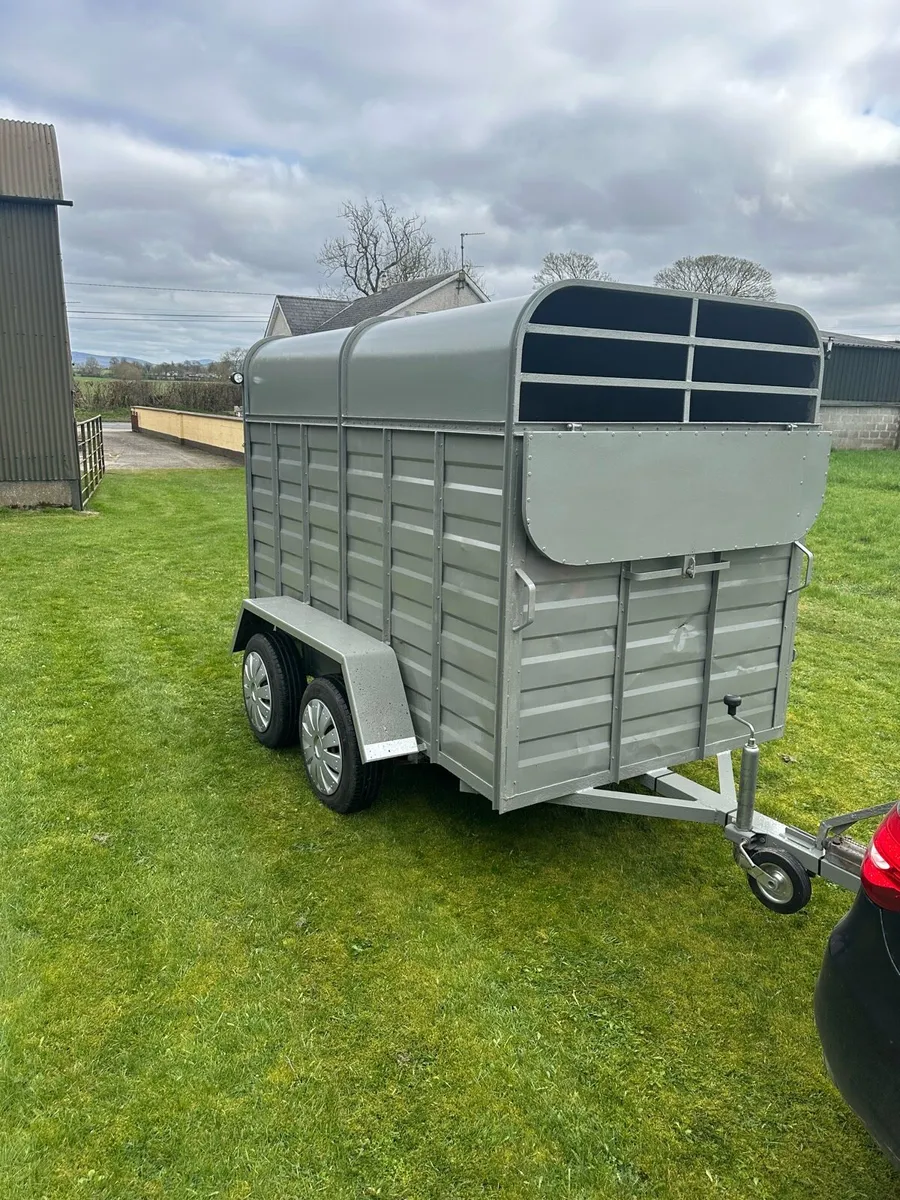 8x5 Refurbished Delaney cattle/sheep trailer. - Image 3