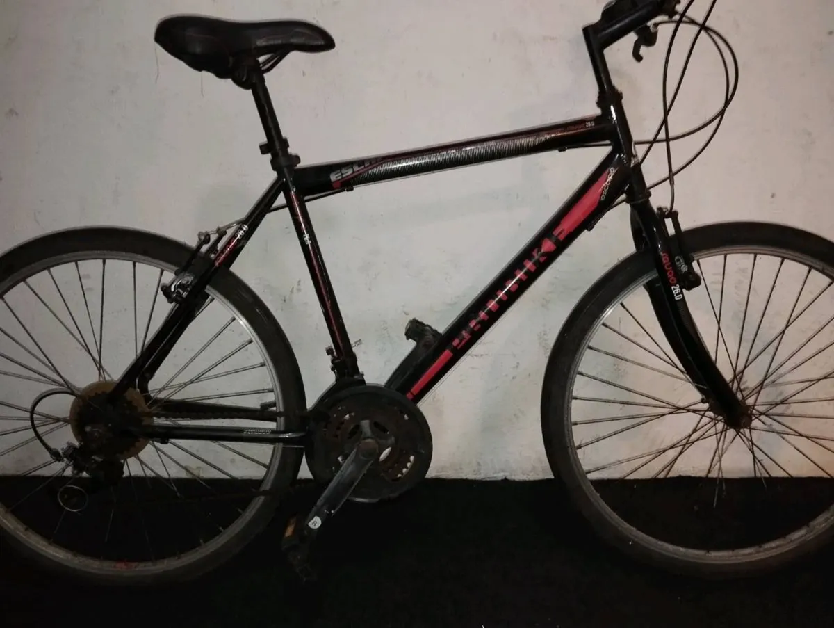 Job lot of adults bikes - Image 3