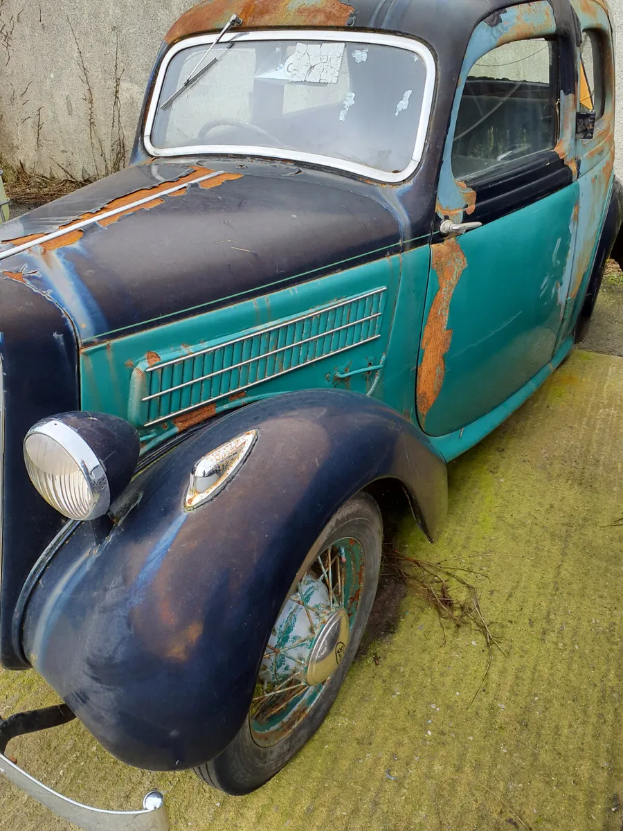 Barn find - Image 2