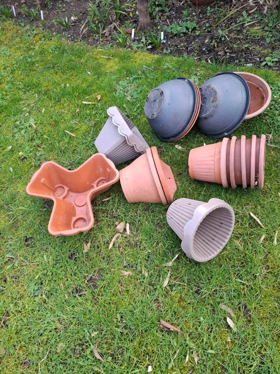 Plant Pots - Image 2