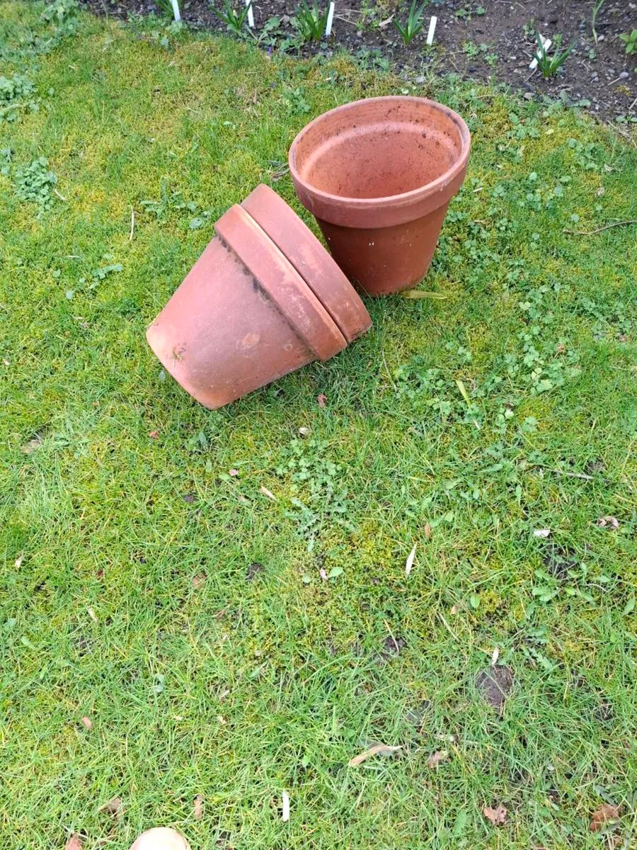 Plant Pots - Image 1
