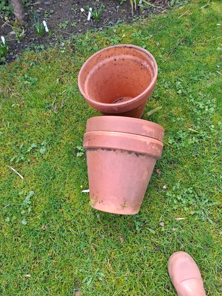 Plant Pots - Image 2