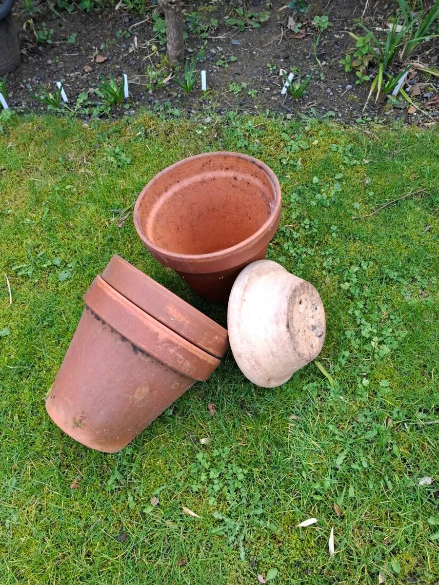 Plant Pots - Image 3