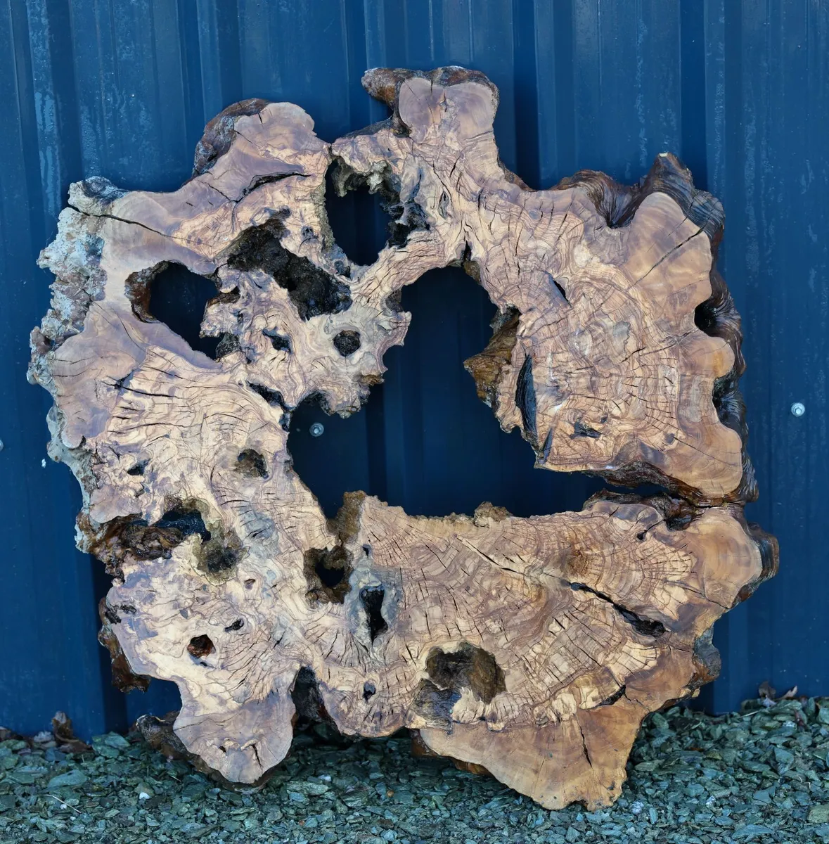 Century Old Turkish Olive Wood & Black Walnut slab - Image 1