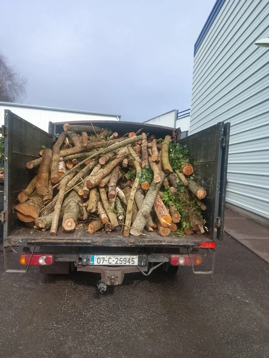 Truck load of timber