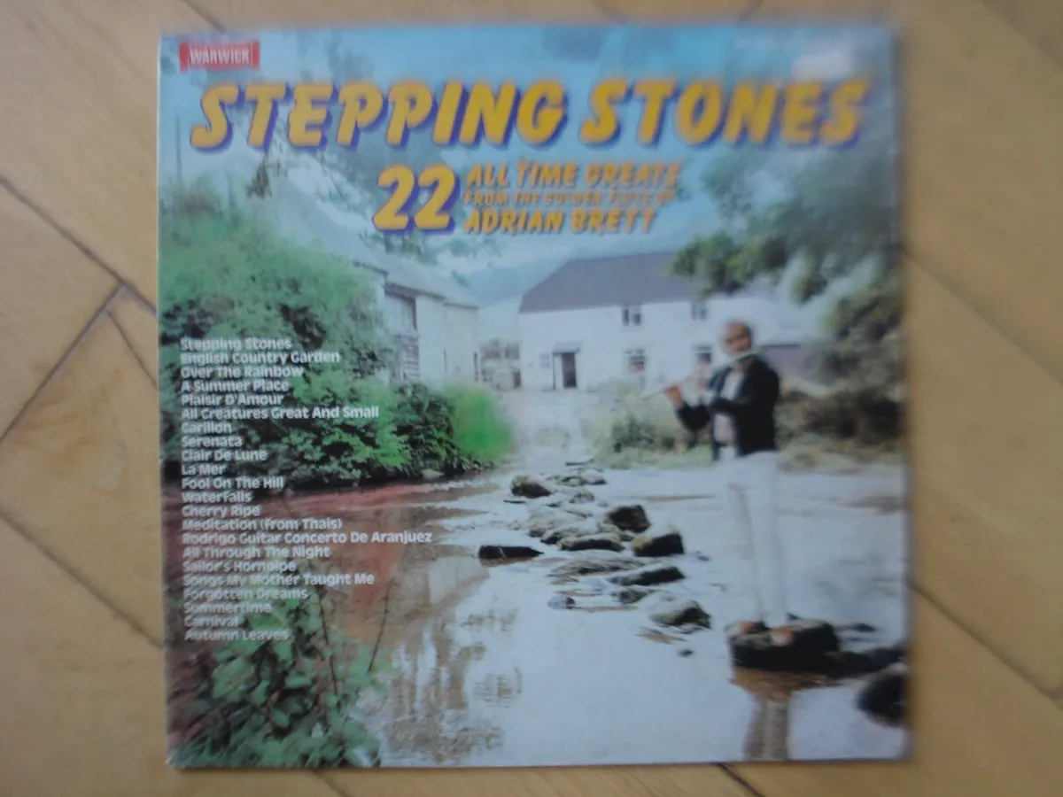 OLD 12 INCH VINYL RECORDS. - Image 4