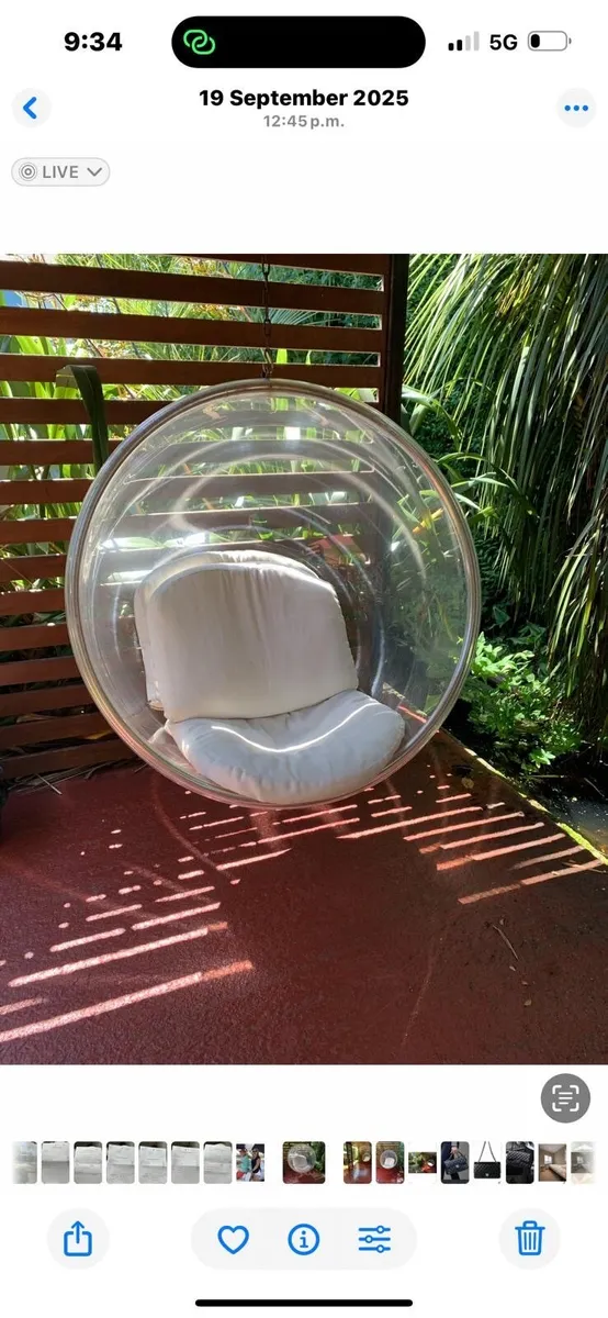 Bubble Chair with cushions. - Image 1