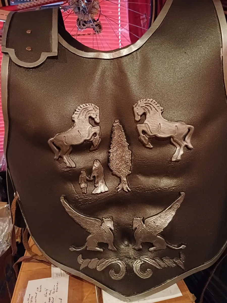 Movie Costume /Cosplay Costume - Image 1