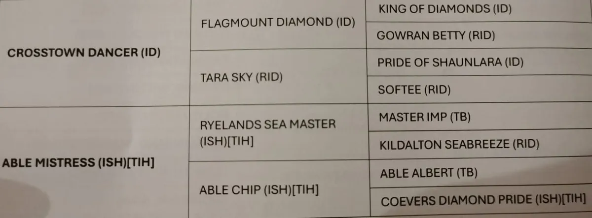 At Stud 2026 - Image 3