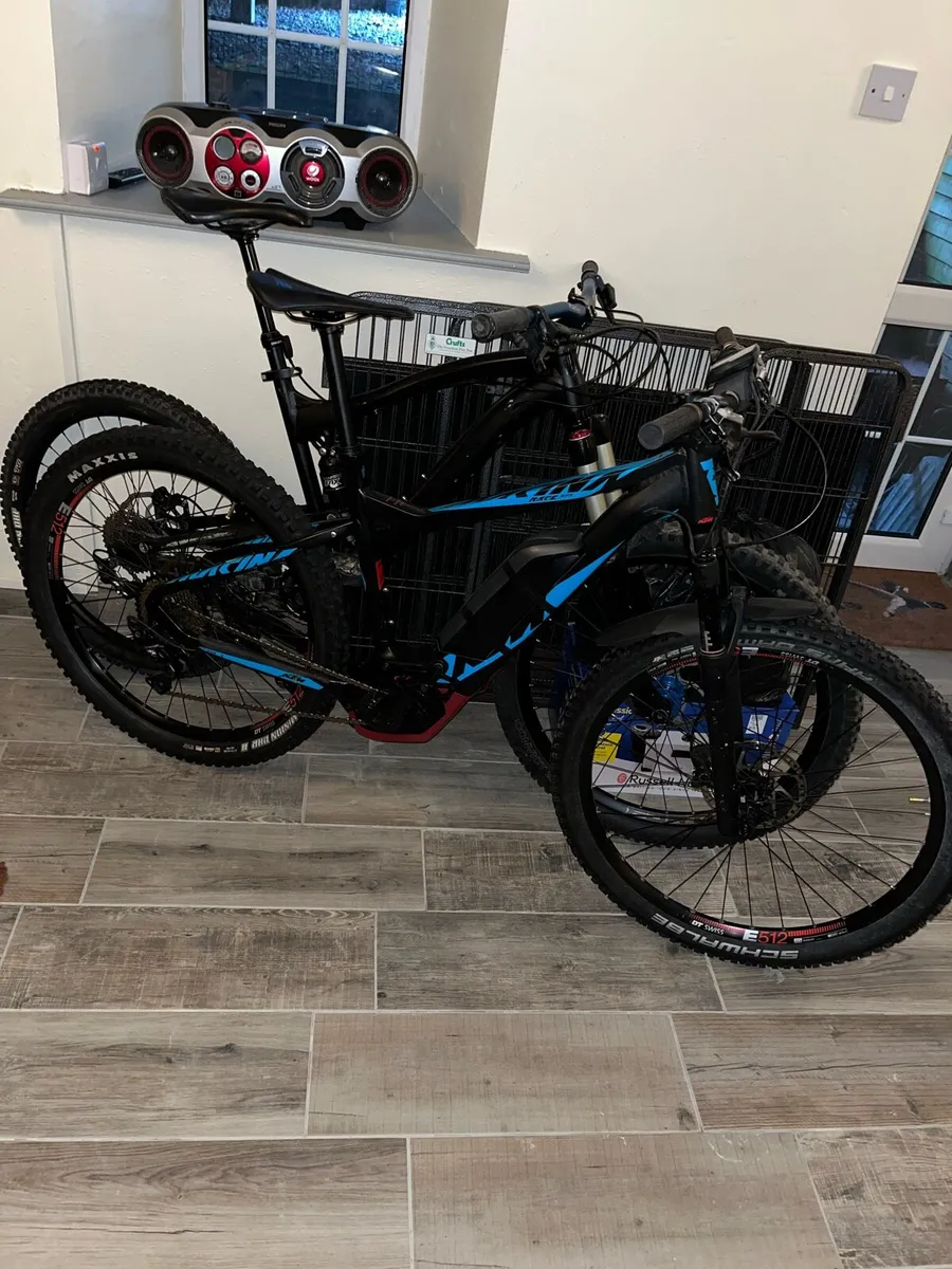 Adult e-bike - Image 1