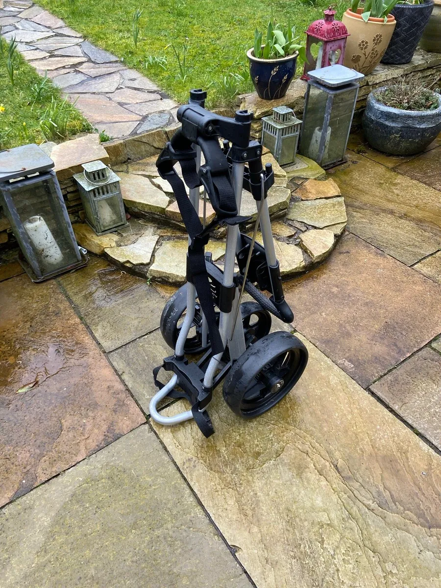 Powakaddy.  Twin line - Image 3