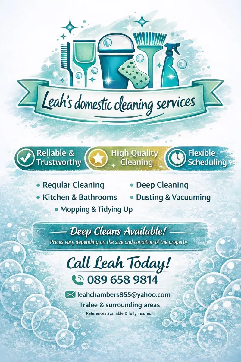 Domestic cleaning service - Image 1