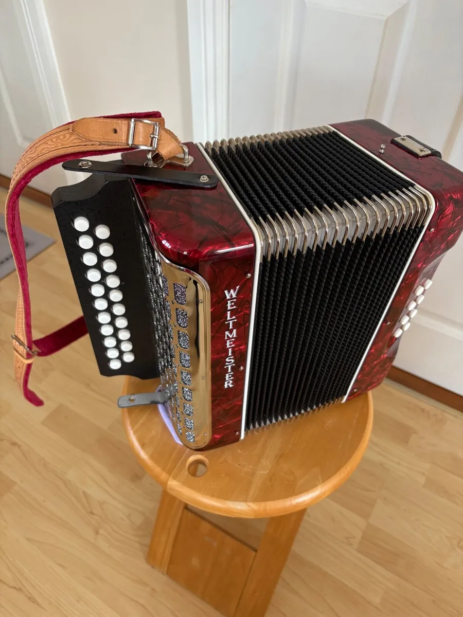 Button accordion - Image 1