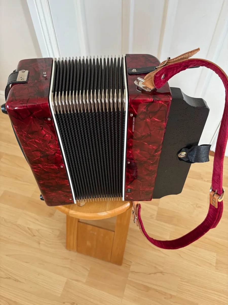 Button accordion - Image 4