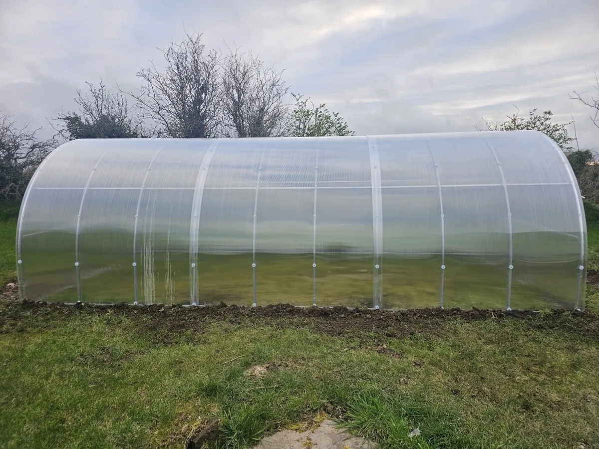3x6m Greenhouse BMP Garden - Image 4