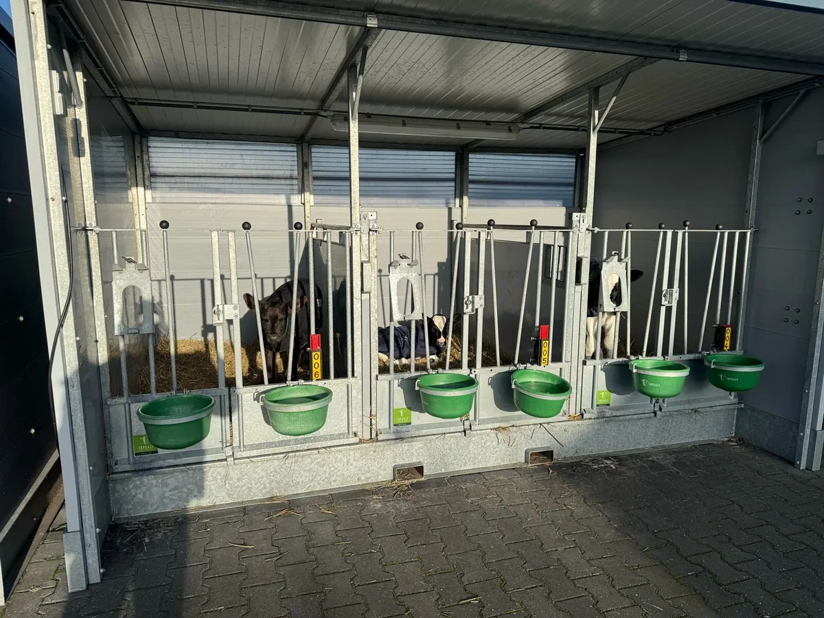 Topcalf Calf Housing –The Best Start for Your Calf - Image 4