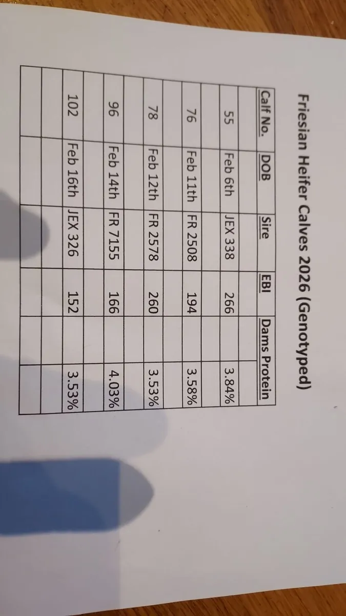 Selection of Genuine Fr. Heifer Calves - Image 1