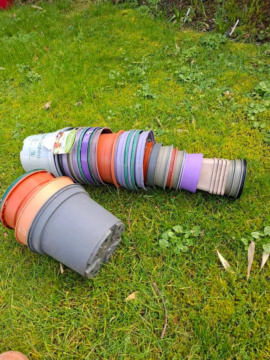 Plant Pots - Image 1