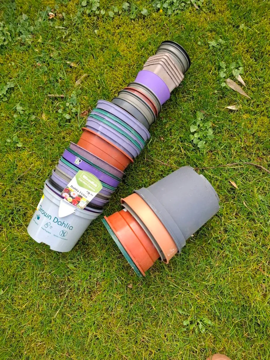 Plant Pots - Image 2