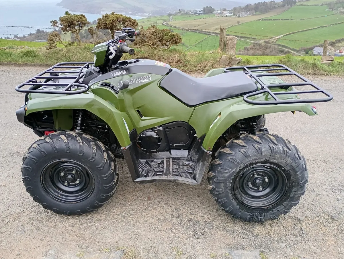 Yamaha Kodiak 450 - Image 3