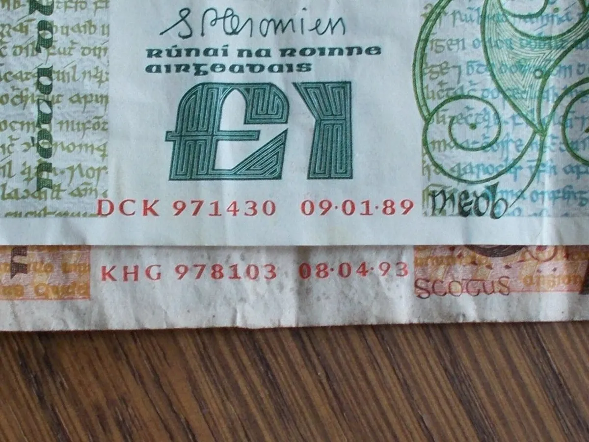 Old Irish Notes - Image 3