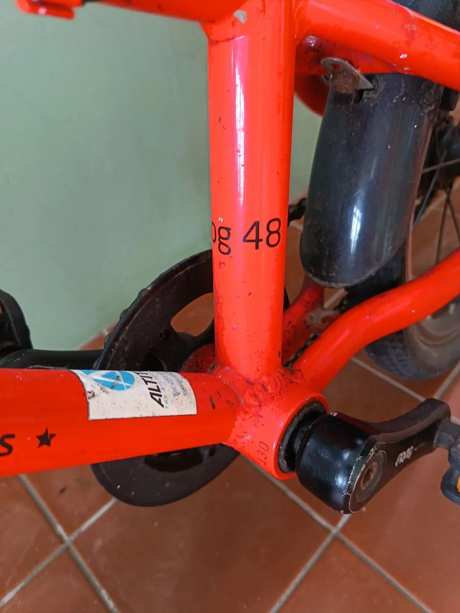 Frog Bike 48 - Image 4