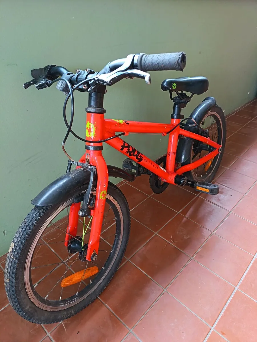 Frog Bike 48 - Image 1