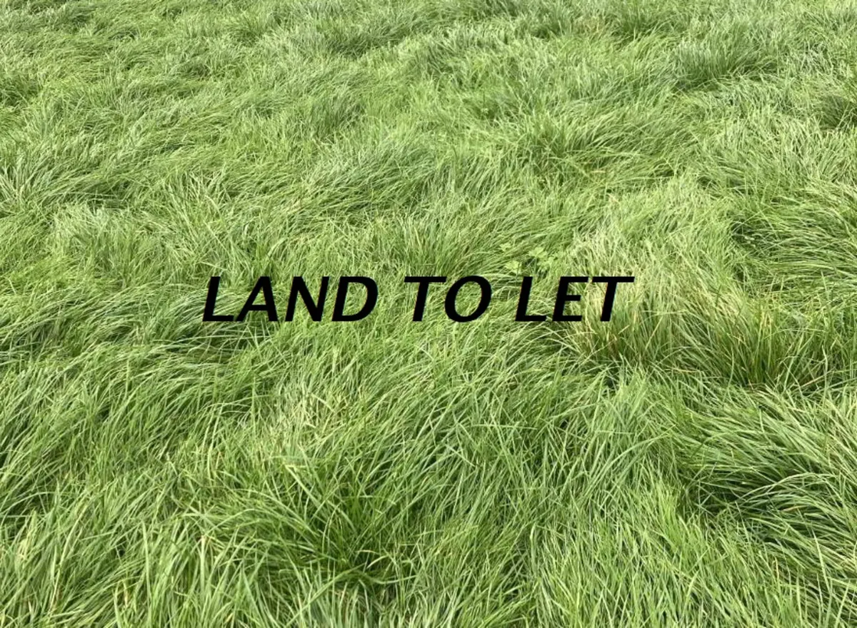 Land Letting