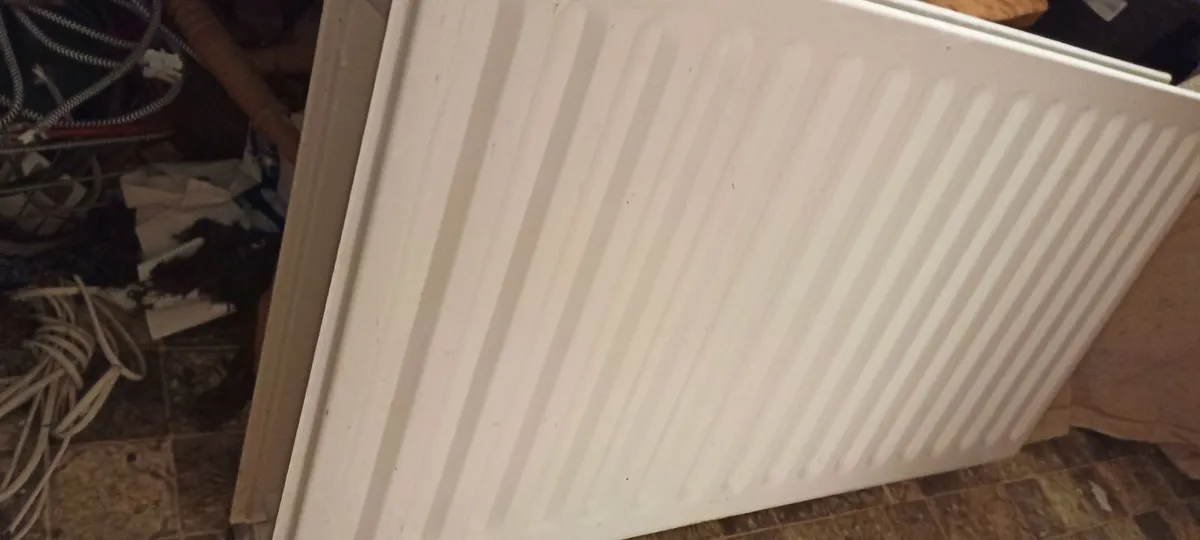 Double Central Heating Radiator - Image 1