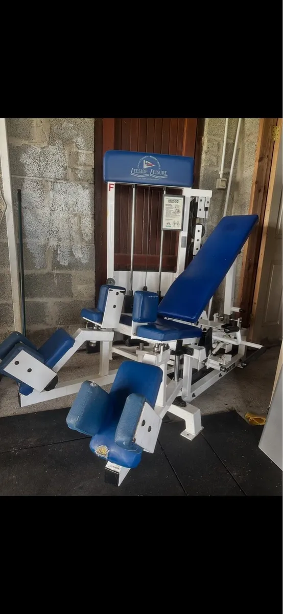 Cybex Trotter Ad/Ab Commercial Machine