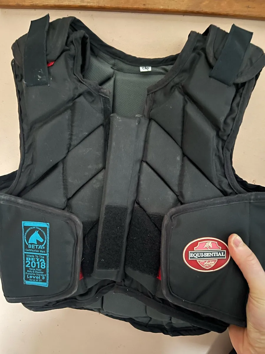 Back protector - Image 1