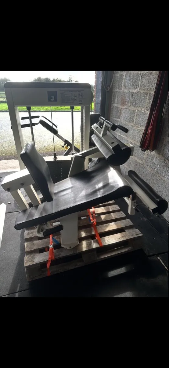 Cybex Galileo Seated Leg Curl - Commercial Machine - Image 2