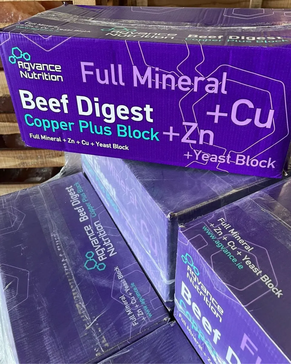 Phos Fertility MINERAL BLOCKS 20KG - FREE JACKET - Image 3