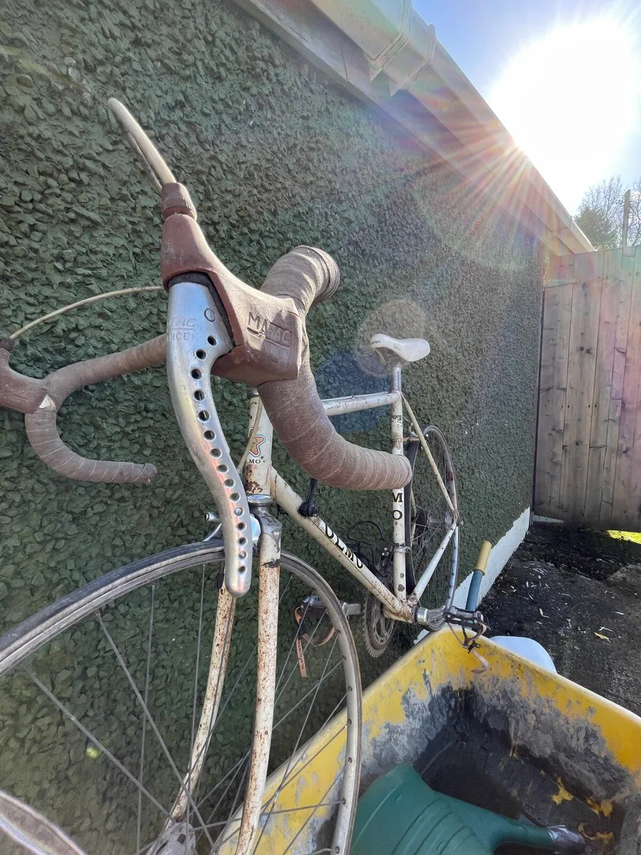 Vintage OLMO cycle road racer. - Image 4