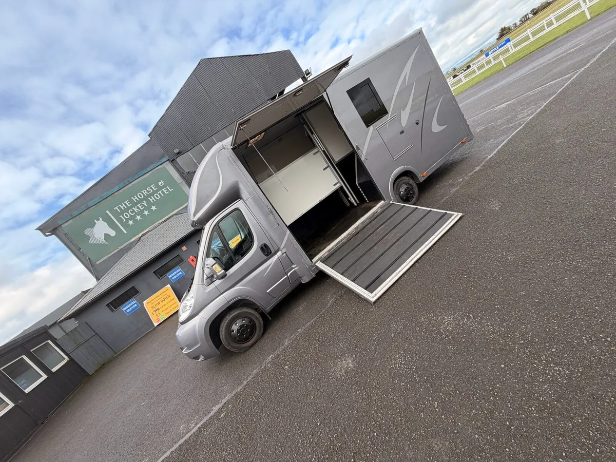 2 stall horse box 🐎 - Image 1