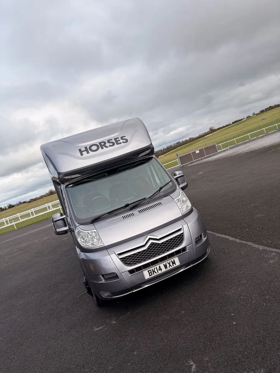 2 stall horse box 🐎 - Image 2