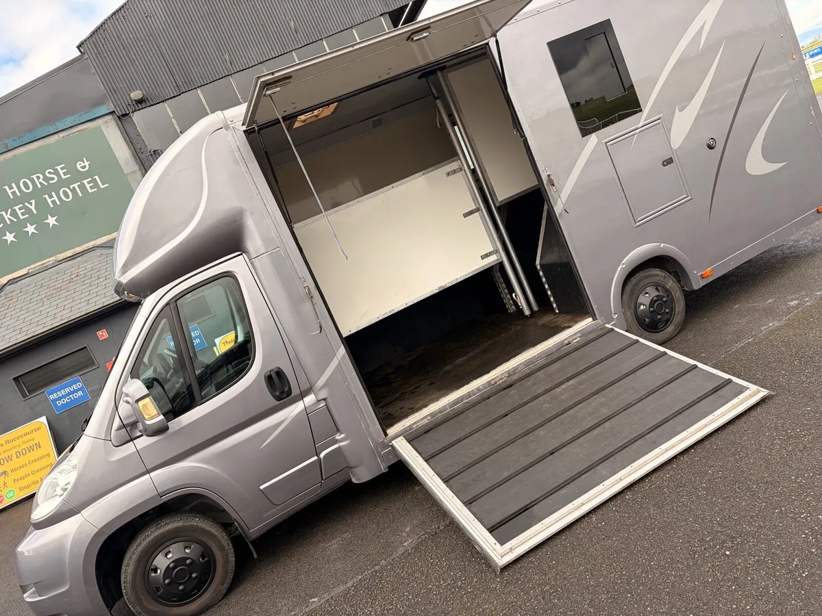 2 stall horse box 🐎 - Image 4