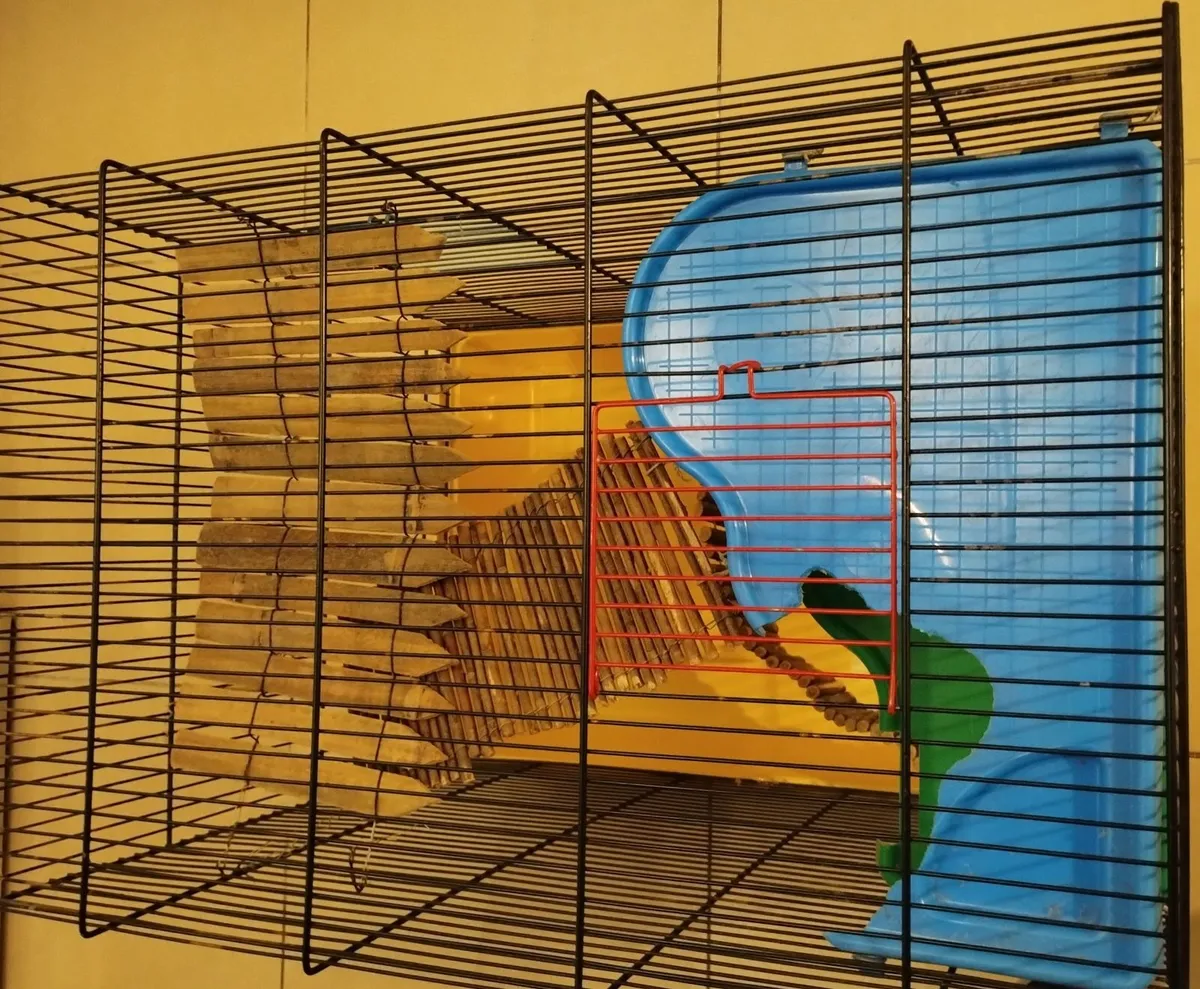 Hamster cage gerbil rabbit guinea pig crate kennel - Image 2