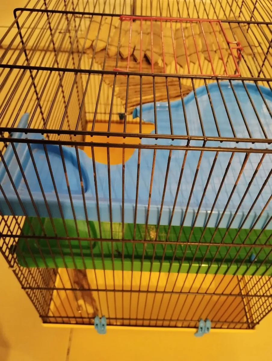 Hamster cage gerbil rabbit guinea pig crate kennel - Image 4