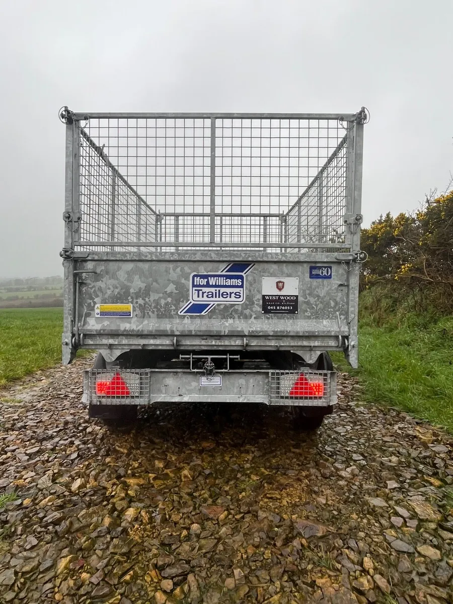 8x5 iforwilliams tipping trailer & mesh side - Image 3