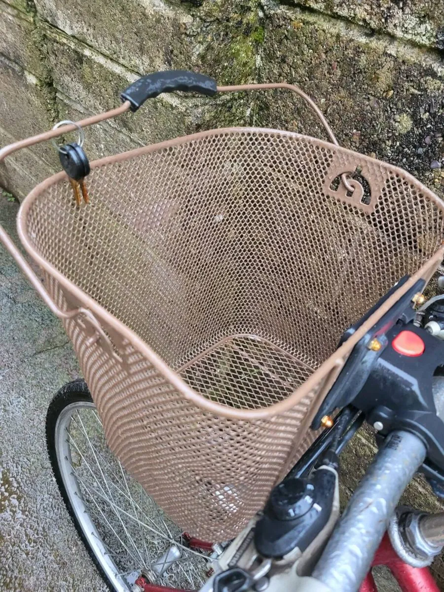 Adult bicycle - Image 4